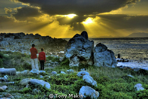 Looking out over False Bay by Tony Makin 